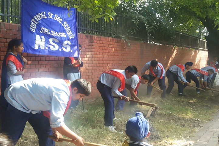Government Model Senior Secondary School-NSS Camp