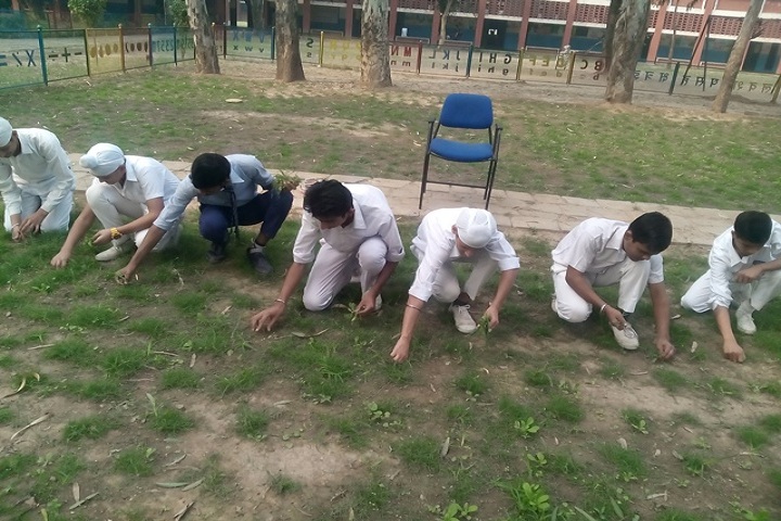 Government Model Senior Secondary School-Swatchh Bharath Abhiyan