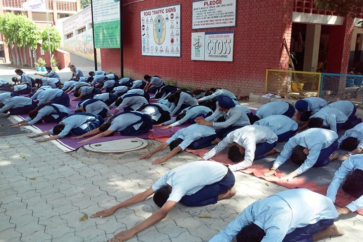 Government Model Senior Secondary School-Yoga