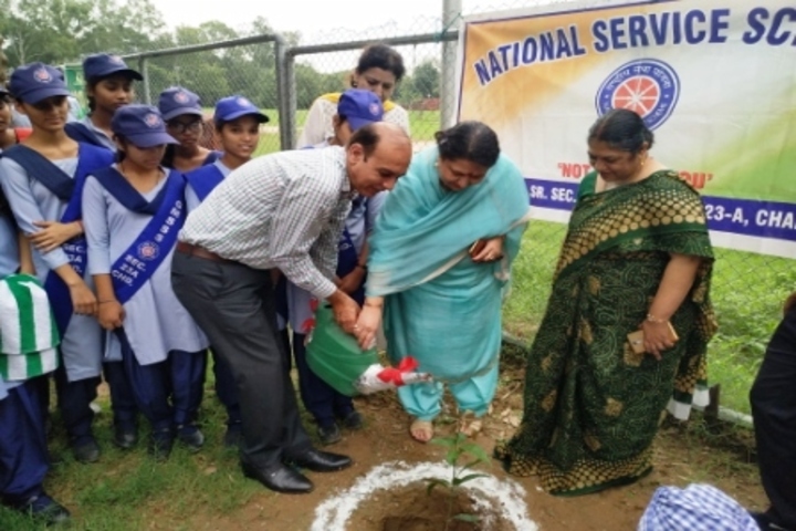 Government Model Senior Secondary School-Plantation