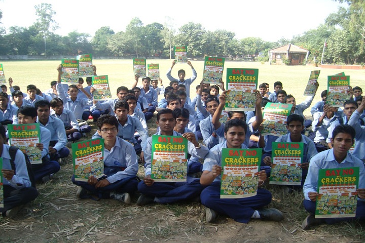 Government Model Senior Secondary School-Activity