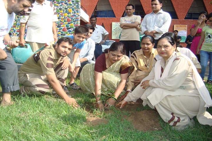 Government Model Senior Secondary School-Tree Plantation