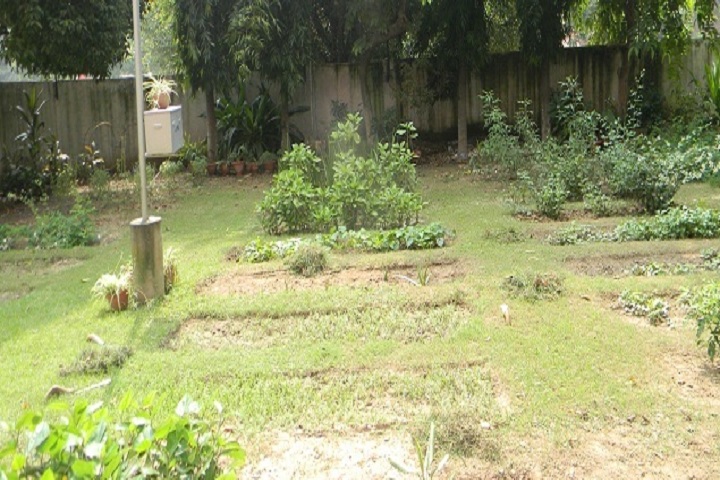 Government Model Senior Secondary School-Herbal Garden