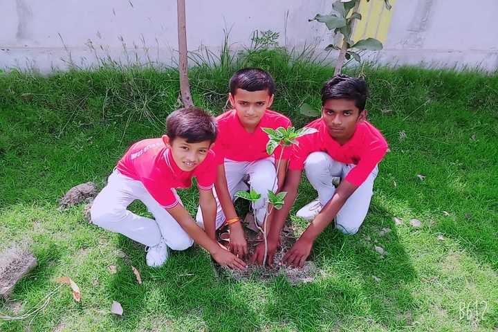 T R C Memorial Public School-Plantation
