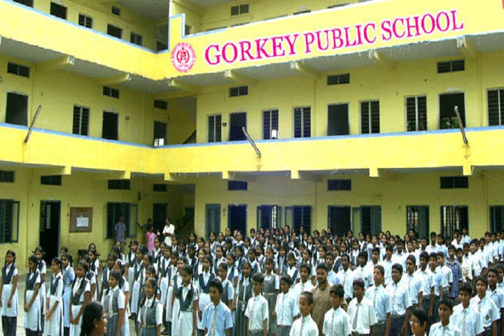 Gorkey Public School - School View