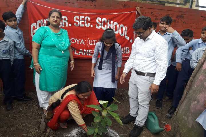 Government Secondary High School-Tree Plantation