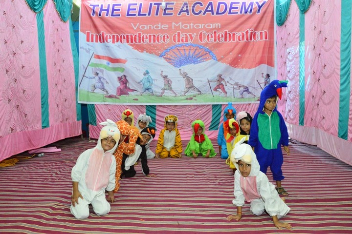 The Elite Academy-Independance Day
