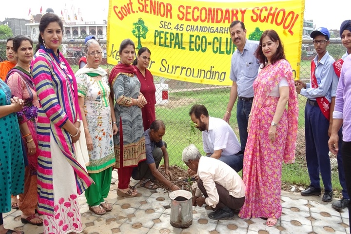 Government Senior Secondary School-Plantation