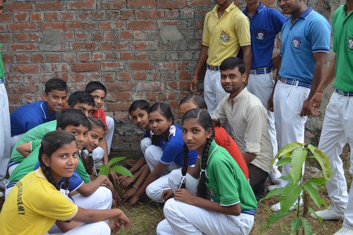 The Royal Academy-Tree plantation