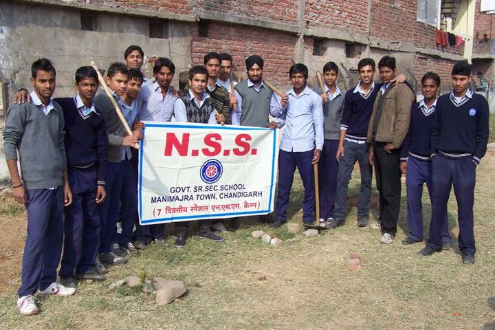 Government Senior Secondary School-NSS