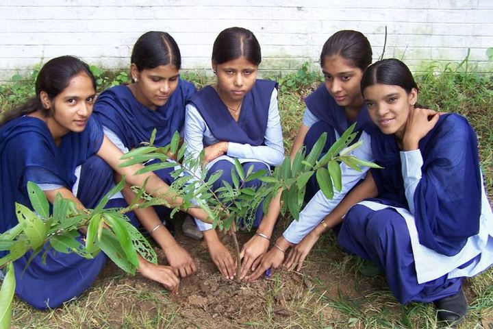 Government Senior Secondary School-Plantation