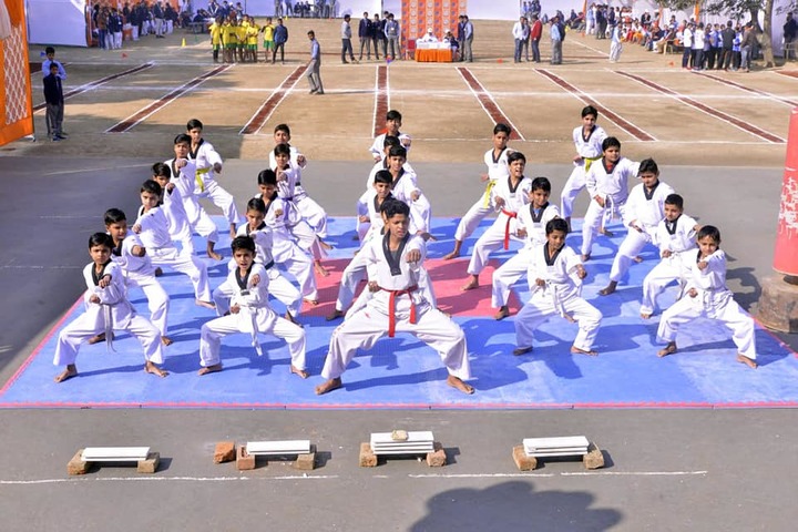The Skyland School-Karate