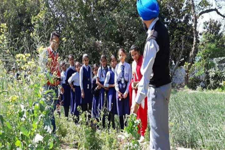 Government Model Senior Secondary School-Field Trip