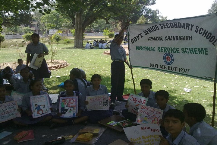 Government Senior Secondary School-Awareness Programme