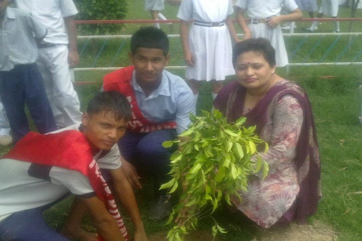 Government Senior Secondary School-Green day