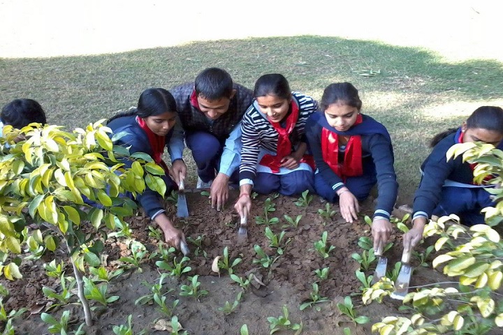 Government Senior Secondary School-NSS Activities