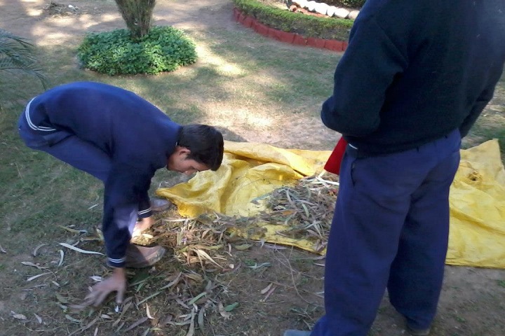 Government Senior Secondary School-Nss Activities