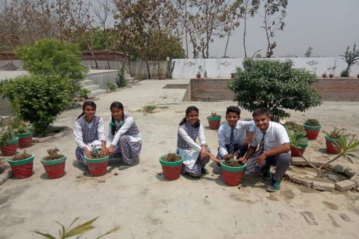 Vidyapeeth Public School-Tree Plantation