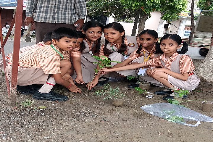Vishwanath Academy-Green day