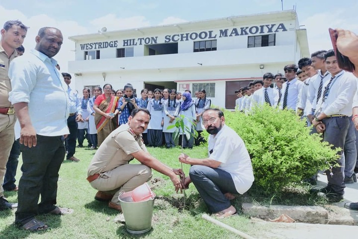 Westridge Hilton School -Plantation Activity