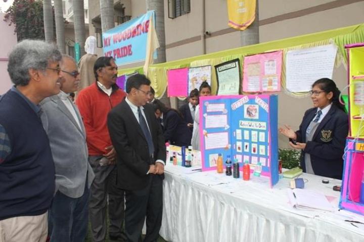 Woodbine Gardenia School-School Exhibition