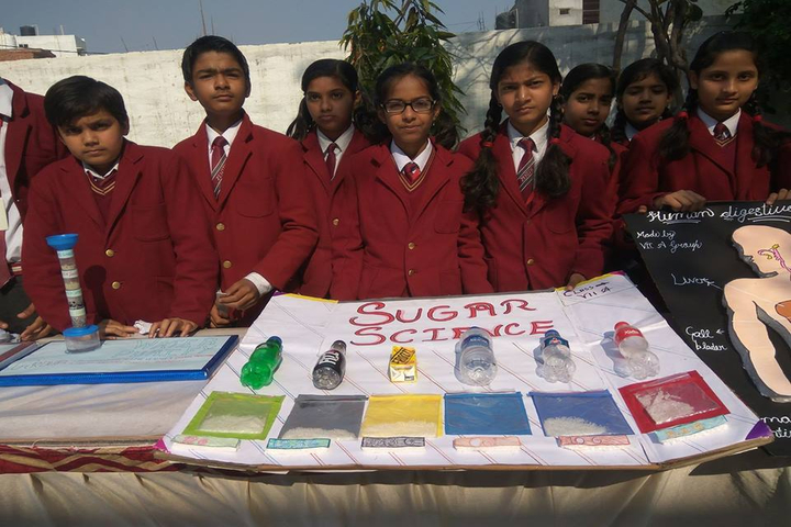 Zenith Public School-School Exhibition