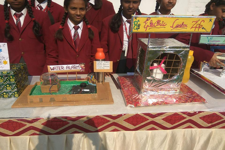 Zenith Public School-Science Exhibition