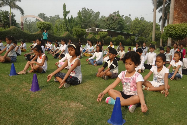 Amenity Public School-Yoga