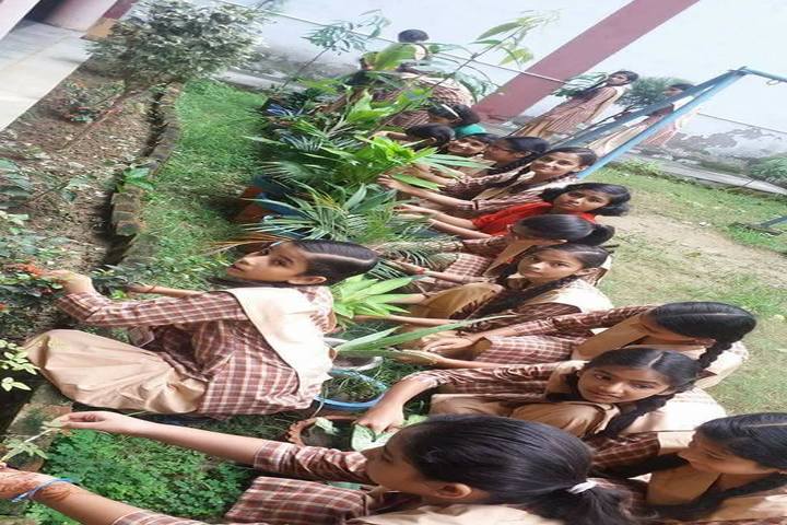 Anand Swaroop Arya Sarawasti Vidya Mandir-Environment Day Celebrations