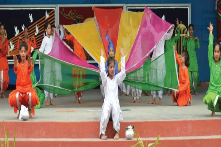 Army Public School-Cultural Program