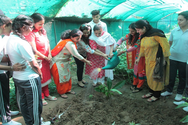 Ishwar Singh Dev Samaj Senior Secondary School-Activity