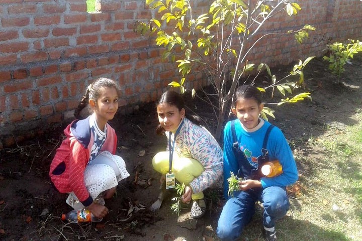 Ascent Public School-Green Day