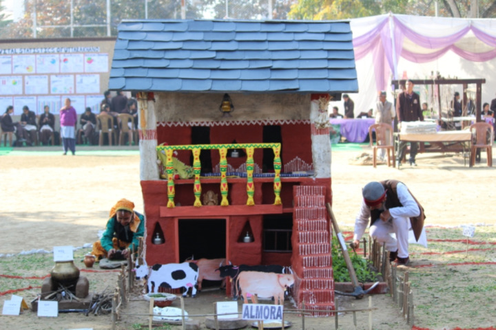 DAV Public School-School Exhibition