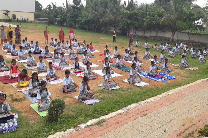 Green City English Medium School - Yoga