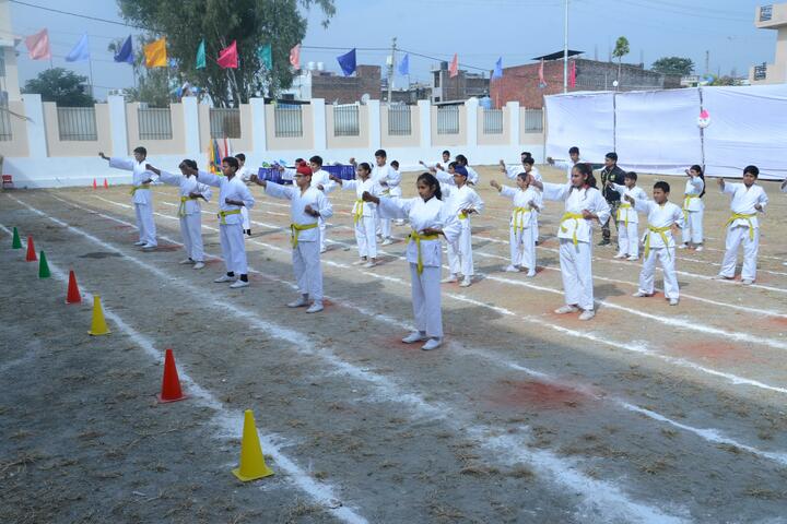 Doon World School-Taekwondo