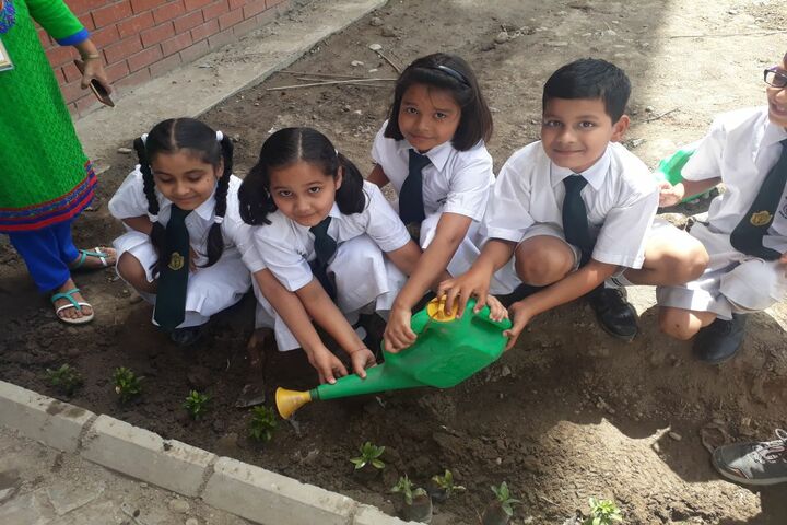 Delhi Public School-Green Day