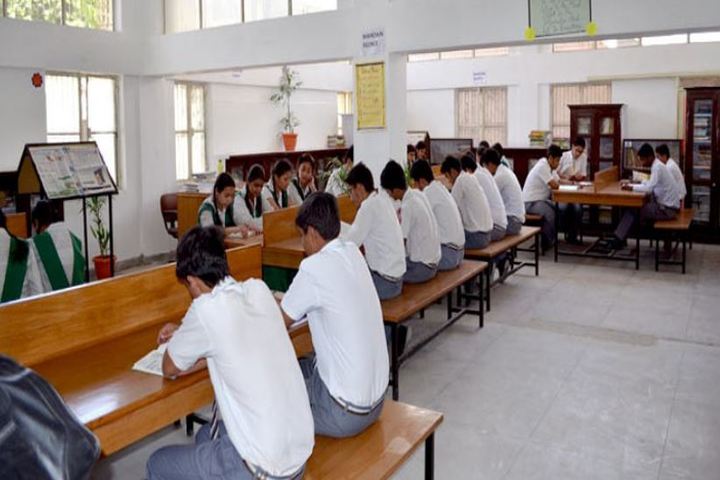 Dronas International School-Library
