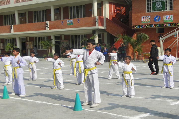 Dronas International School-Taekwondo