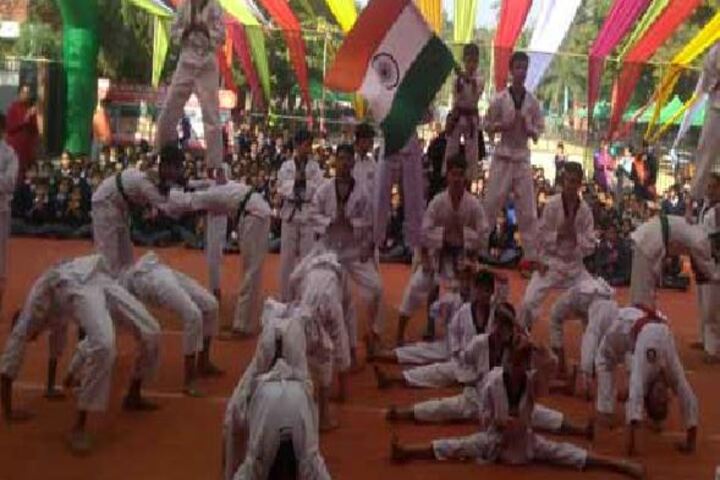 Maharishi Dayanand Adarsh Vidyalaya-Activity
