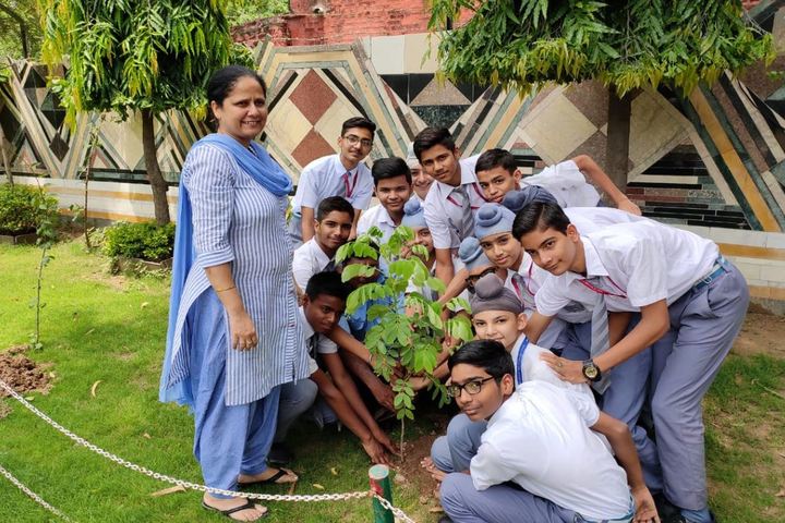 Maharishi Dayanand Adarsh Vidyalaya-Planting Tree