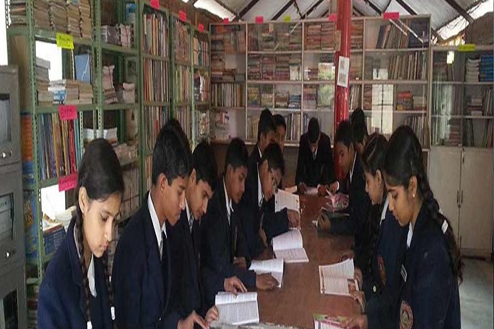 Great Mission Public School-Library
