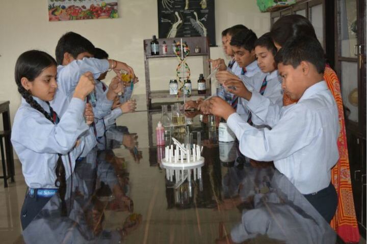Green Mount Global School-Chemistry Lab