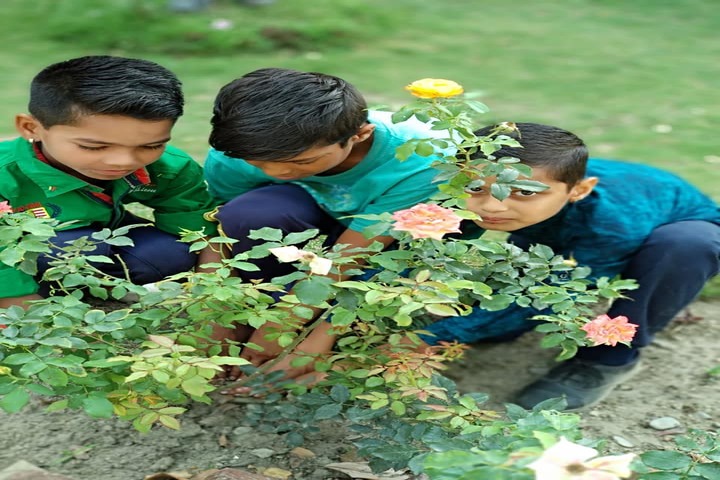 Heera Kunwar Public School-Tree Plantation