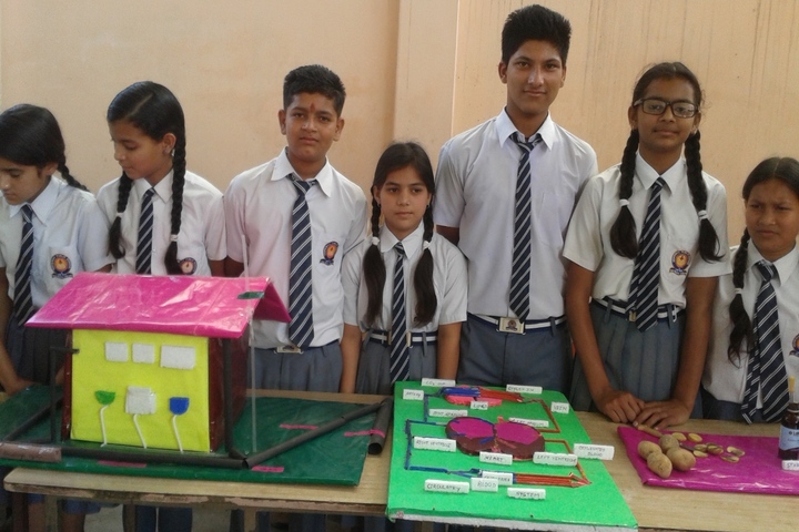 Hope Way Public School-Science Exhibition