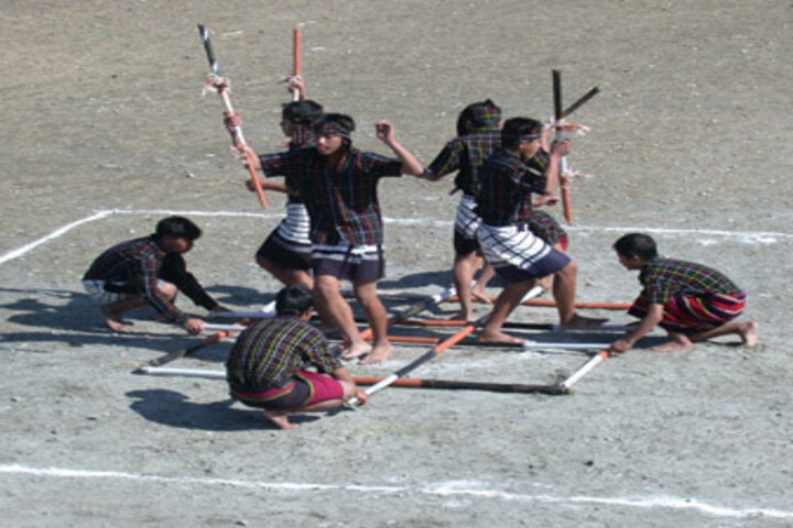 Information Technology Institute For The Tribes Of India-Dance