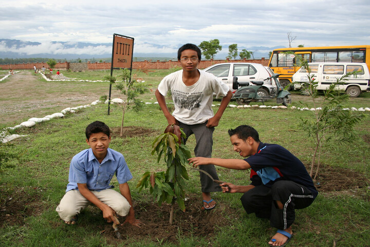 Information Technology Institute For The Tribes Of India-Tree Plantation
