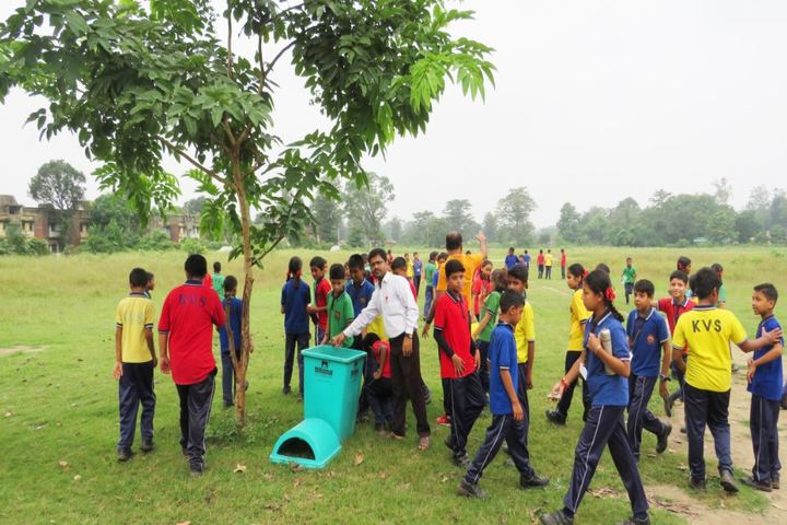 Kendriya Vidyalaya-Activity