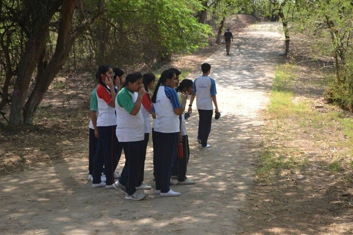 Saupins School-Biodiversity Hunt