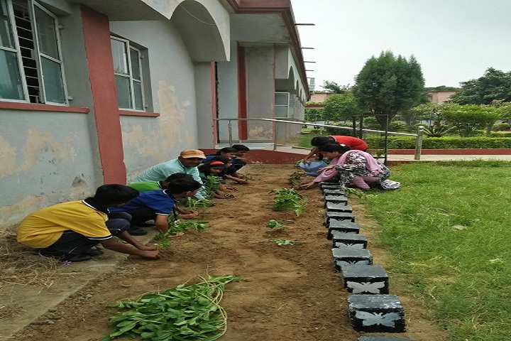 Kendriya Vidyalaya No 2-Plantation