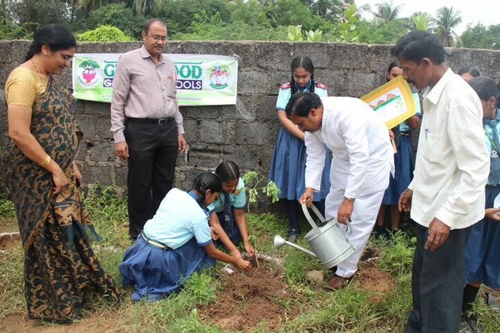 Greenwood High School-Planting